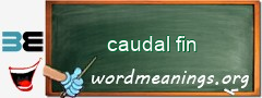 WordMeaning blackboard for caudal fin